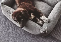 MiaCara Stella Hondenmand Medium Mottled Mocca -Meubel Speciaal Winkel x886x886 miacara stella hondenmand small5.jpg.pagespeed.ic .qi04m r7Br