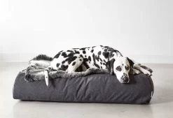 MiaCara Stella Lounge Hondenkussen Medium/large Mottled Mocca -Meubel Speciaal Winkel x886x886 miacara stella lounge hondenkussen small medium3.jpg.pagespeed.ic .AW2ThZ0X1l