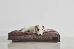 MiaCara Divo Hondenkussen Medium Slate -Meubel Speciaal Winkel x886x886 miacara unica hondenplaid large11.jpg.pagespeed.ic .q52raqSVTu