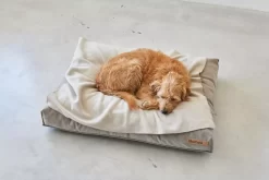 MiaCara Velluto Hondenkussen Large Greige -Meubel Speciaal Winkel x886x886 miacara velluto hondenkussen large7.jpg.pagespeed.ic .j82ewdixs9 1