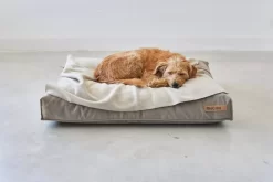 MiaCara Velluto Hondenkussen Large Sage -Meubel Speciaal Winkel x886x886 miacara velluto hondenkussen large8.jpg.pagespeed.ic .Upj1Ozflgz