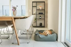 MiaCara Velluto Hondenmand Medium Sage 22 MiaCara Velluto Hondenmand Medium Sage -Meubel Speciaal Winkel x886x886 miacara velluto hondenmand large3.jpg.pagespeed.ic .E9qYajbRdx