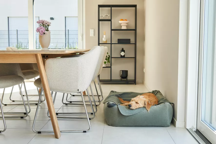 MiaCara Velluto Hondenmand Medium Sage 4 MiaCara Velluto Hondenmand Medium Sage - Afbeelding 2