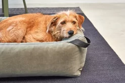 MiaCara Velluto Hondenmand Large Greige -Meubel Speciaal Winkel x886x886 miacara velluto hondenmand large6.jpg.pagespeed.ic .aXN3H 21OY 3