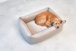 MiaCara Velluto Hondenmand Large Greige -Meubel Speciaal Winkel x886x886 miacara velluto hondenmand large9.jpg.pagespeed.ic .IA9vkAoJ5d 3