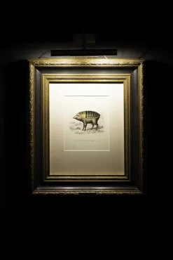 Moooi Carpets Armoured Boar Vloerkleed 200x300 -Meubel Speciaal Winkel x886x886 moooi carpets armoured boar vloerkleed 200x300.JPG.pagespeed.ic . kYQ2hpXpj