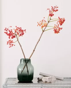 Muuto Silent Vaas 15 Dark Green -Meubel Speciaal Winkel x886x886 muuto silent vaas 157.jpg.pagespeed.ic .7pbhf41Ex4