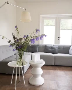 Artemide Tolomeo Mega Terra Booglamp Retrofit Dimmer Alu Grijs Satijn 32 -Meubel Speciaal Winkel x886x886 myflinders woonkamer hay dot kussen pols potten bijzettafel artemide vloerlamp.jpg.pagespeed.ic .08hww22qep