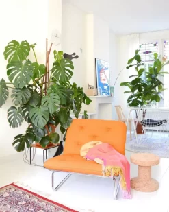 Hay J77 Stoel Gelakt Beuken, Jade Green -Meubel Speciaal Winkel x886x886 myflinders woonkamer vitra eames house bird cork bijzettafel pastoe stoel hay stoel.jpg.pagespeed.ic .rHFzLErIxt