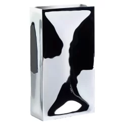 Northern Into Vaas Spiegel