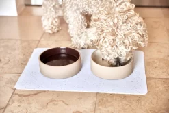 OYOY Sia Hondenvoerbak Small Ø13 Choko -Meubel Speciaal Winkel x886x886 oyoy sia hondenvoerbak small 132.jpg.pagespeed.ic .dq2GKKxR6A 1