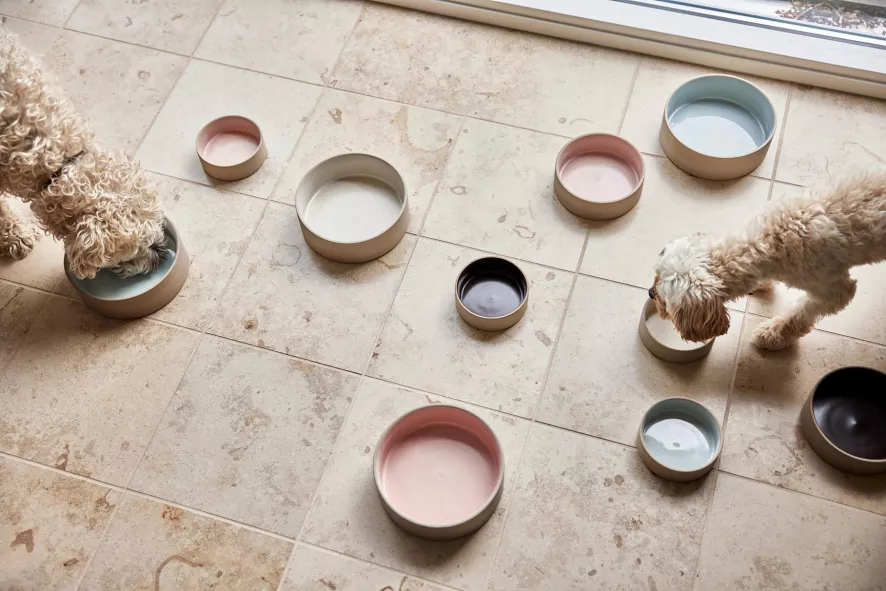 OYOY Sia Hondenvoerbak Large Ø21 Ice Blue 6 OYOY Sia Hondenvoerbak Large Ø21 Ice Blue - Afbeelding 4