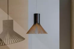 Secto Design Puncto 4203 Hanglamp Ø45 Zwart 19 Secto Design Puncto 4203 Hanglamp Ø45 Zwart -Meubel Speciaal Winkel x886x886 secto design puncto 4203 hanglamp4.jpg.pagespeed.ic .y8OuheEUcw