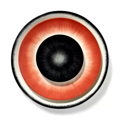 Serax Dé Tableware By Ann Demeulemeester Dinerbord Ø24 White/red 2 28 Serax Dé Tableware By Ann Demeulemeester Dinerbord Ø24 White/red 2 -Meubel Speciaal Winkel x886x886 serax d tableware by ann demeulemeester ontbijtbord 17 524.jpg.pagespeed.ic .HAU KIXk2V