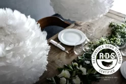 Umage Eos Esther Hanglamp Medium 60x39 Wit Snoer, Lichtroze -Meubel Speciaal Winkel x886x886 vita eos mini hanglamp wit snoer15.jpg.pagespeed.ic .t0B2hnfWvc