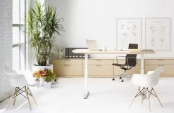 Vitra Tweedekansje - Eames DAW Stoel Essen Onderstel, Wit -Meubel Speciaal Winkel x886x886 vitra daw stoel kuip wit onderstel geelachtig esdoorn4.jpg.pagespeed.ic .0olbq0DM8c