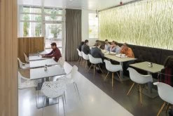 Vitra Tweedekansje - Eames DAW Stoel Essen Onderstel, Wit -Meubel Speciaal Winkel x886x886 vitra daw stoel kuip wit onderstel geelachtig esdoorn6.jpg.pagespeed.ic .Hb7TR2O2Rz