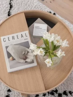 Woud Arc Salontafel 89 Black Painted Ash -Meubel Speciaal Winkel x886x886 woud arc salontafel 894.jpg.pagespeed.ic .4A432 7o4f