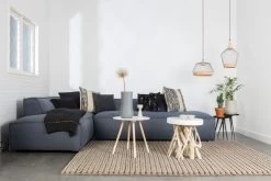 Zuiver Tweedekansje - Fat Freddy Bank Rechts Grey/blue 81 -Meubel Speciaal Winkel x886x886 zuiver fat freddy bank links12.jpg.pagespeed.ic .i5YCfDQAer