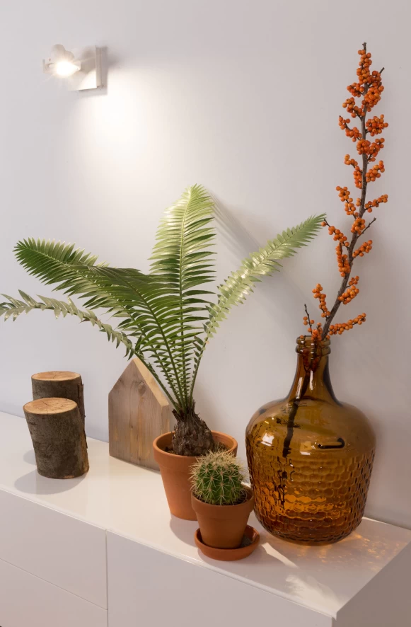 Zuiver Luci-LED Spot Enkel Zwart Dimbaar 8 Zuiver Luci-LED Spot Enkel Zwart Dimbaar - Afbeelding 6